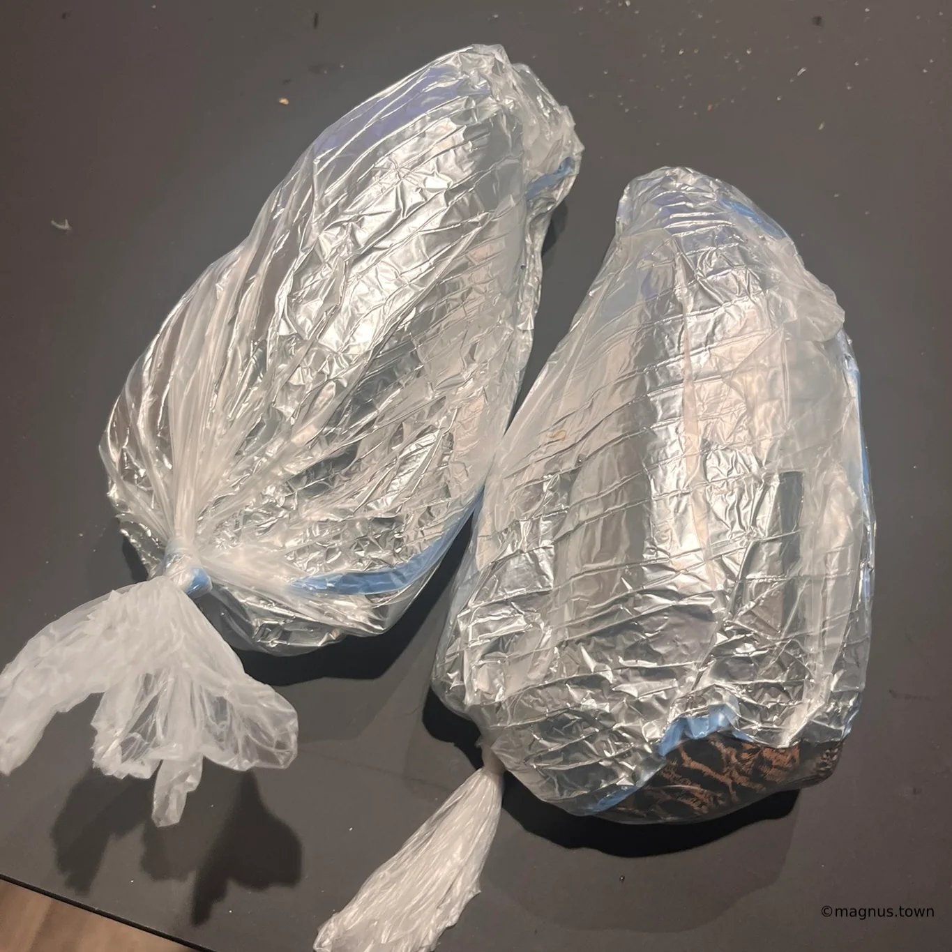 Ready for the freezer