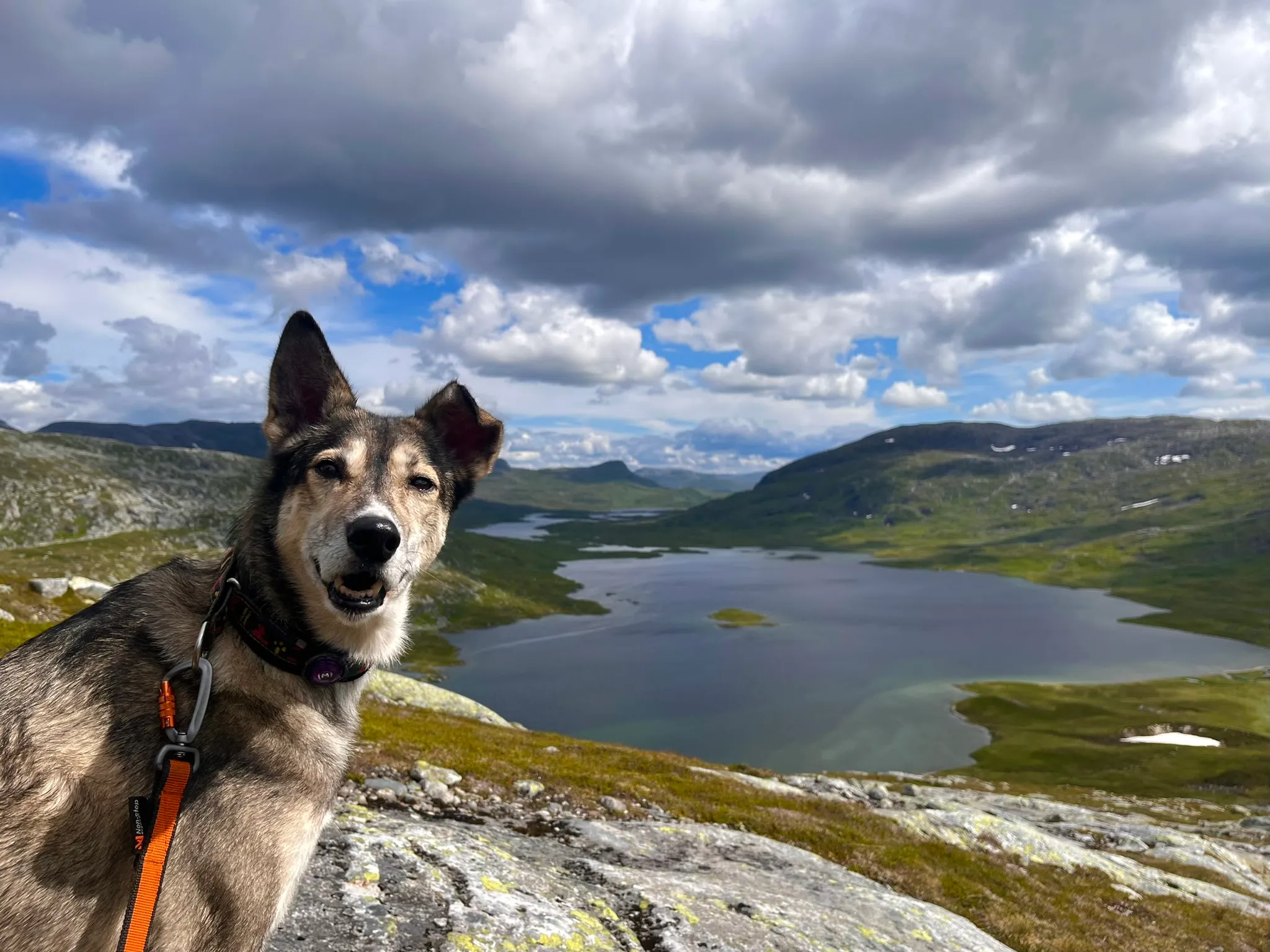 Sygin, right where she belongs